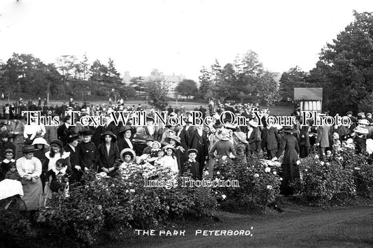 CA 952 - The Park, Peterborough, Cambridgeshire