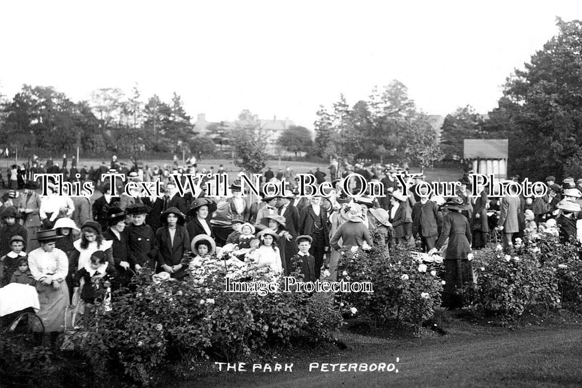 CA 965 - The Park, Peterborough, Cambridgeshire