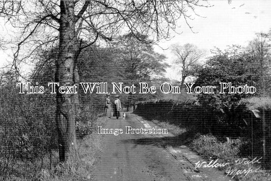 CH 1064 - Willow Wall, Marple, Cheshire