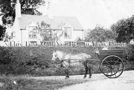 CH 1213 - Malpas, Cheshire c1907