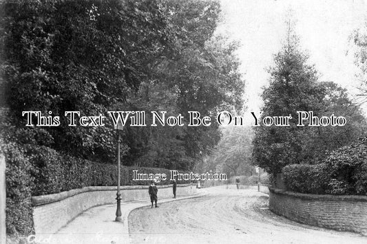 CH 1299 - Lane Up To The Edge, Alderley Edge, Cheshire c1910