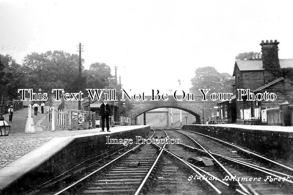 CH 1471 - Delamere Forest Railway Station, Cheshire c1914