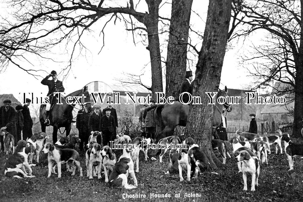 CH 1977 - Cheshire Hounds At Acton, Cheshire