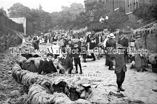 CH 2047 - Haymaking, Turncroft Lane, Cheshire