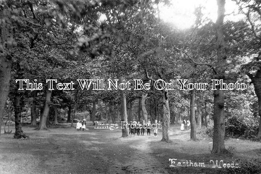 CH 2102 - Eastham Woods, Cheshire