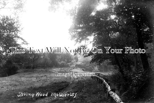 CH 2138 - Spring Wood, Mobberley, Cheshire