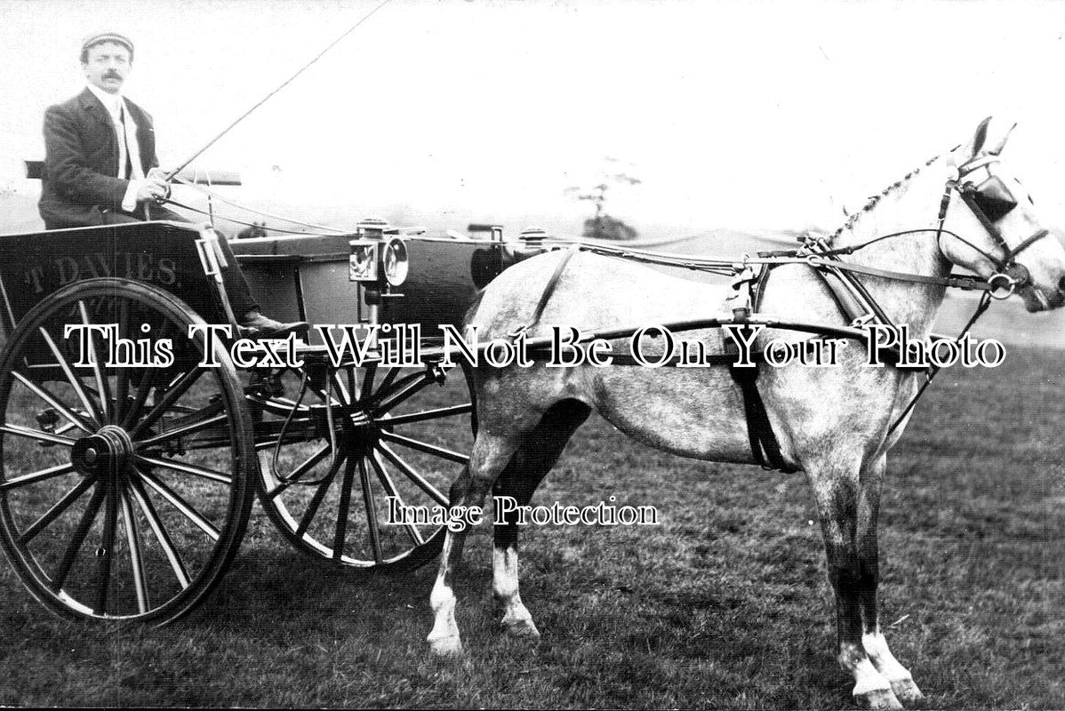 CH 2408 - T Davies Carter, Horse & Cart, Mobberley, Cheshire