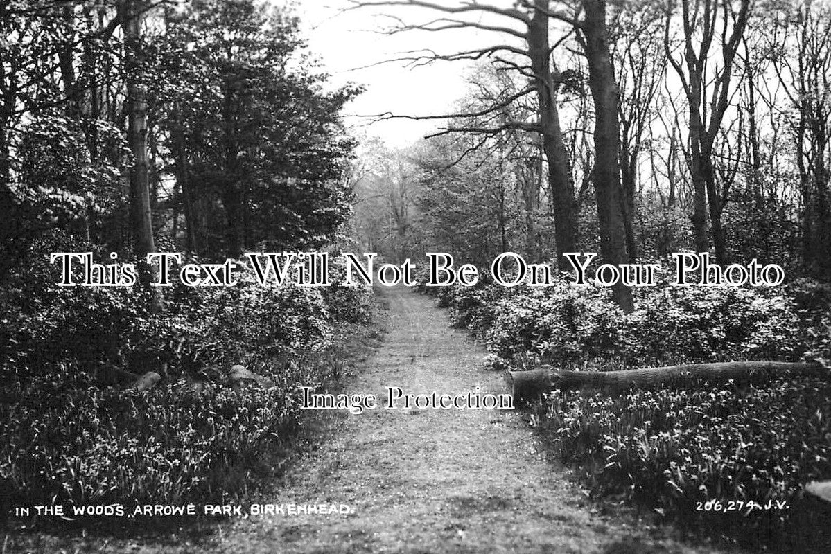 CH 2867 - In The Woods, Arrowe Park, Birkenhead, Cheshire