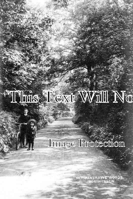 CH 3062 - Wythenshawe Woods, Northenden, Cheshire