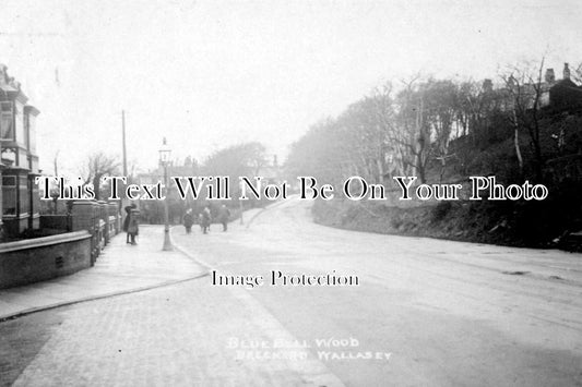 CH 322 - Bluebell Wood, Breck Rd, Wallasey, Cheshire c1909