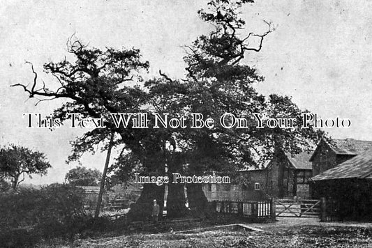 CH 337 - Marton Farm & Big Oak, Cheshire c1905