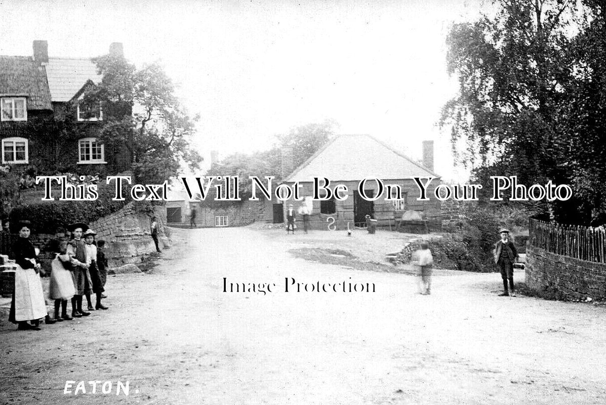 CH 3397 - Eaton, Cheshire