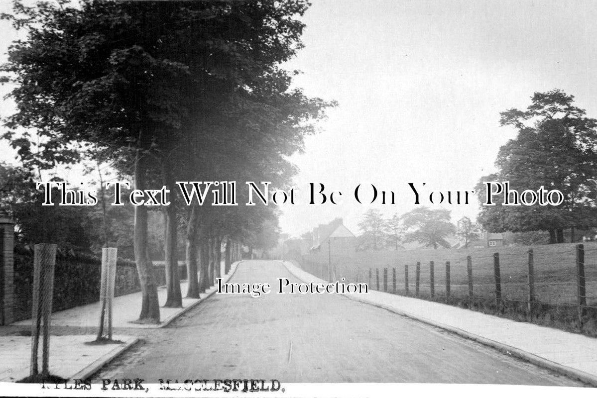 CH 41 - Lyles Park, Macclesfield, Cheshire c1908