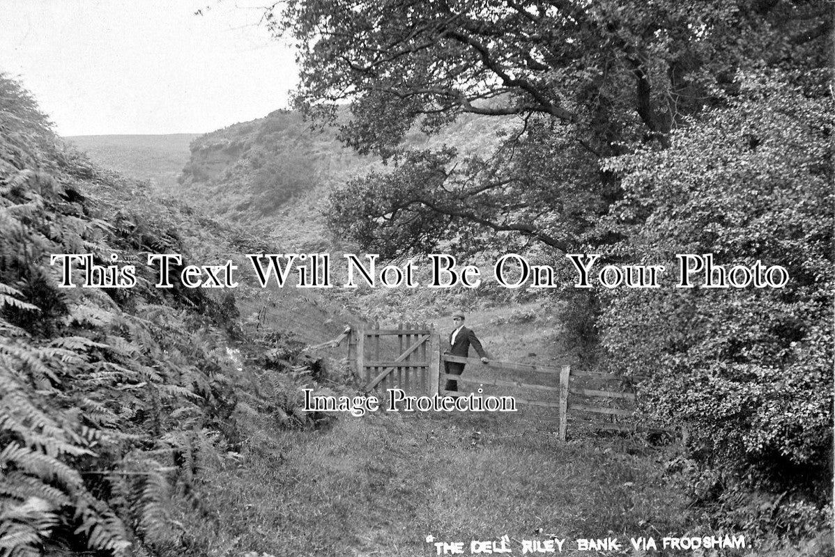 CH 546 - The Dell, Riley Bank, Frodsham, Cheshire c1914