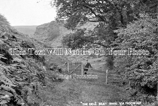 CH 546 - The Dell, Riley Bank, Frodsham, Cheshire c1914