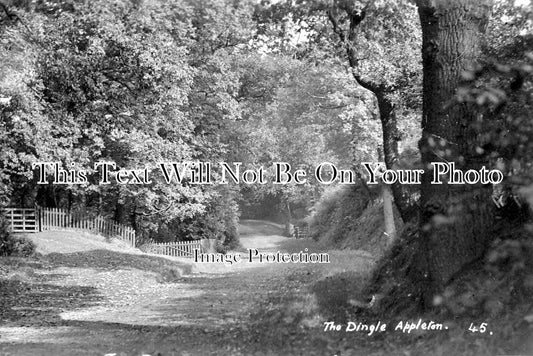 CH 945 - The Dingle, Appleton, Cheshire