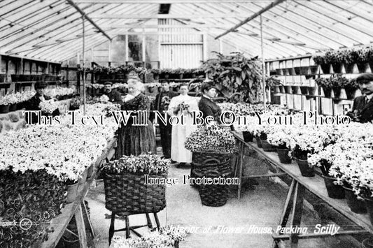 CO 125 - Interior Of Flower Packing House, Scilly Isles, Cornwall