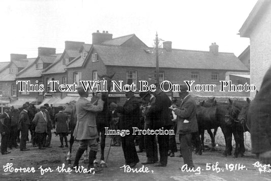 CO 1277 - WW1 Horses For The War, Bude, Cornwall