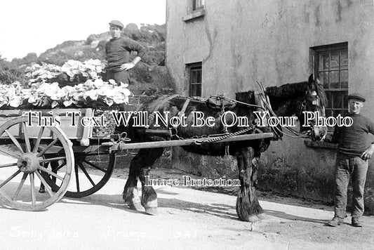 CO 1487 - Men With Horse & Carts, Arums, Scilly Isles, Cornwall