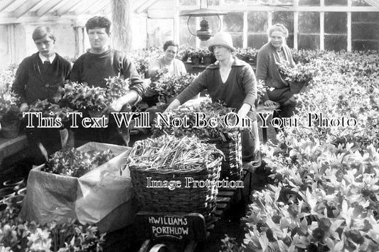 CO 1729 - HW Williams Flowers, Porthlow, St Marys, Scilly Isles