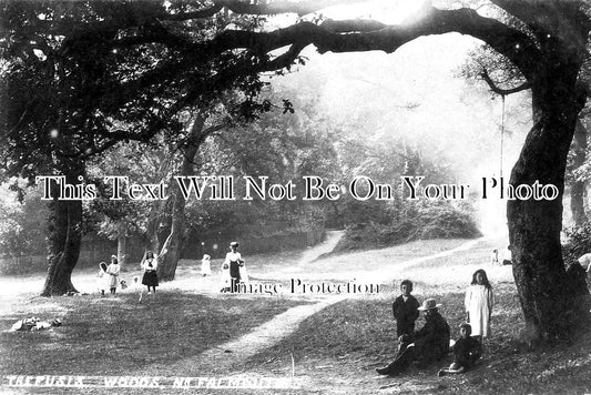 CO 1849 - Trefusis Woods Near Falmouth, Cornwall