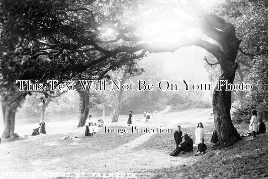 CO 1980 - Woods Near Falmouth, Cornwall