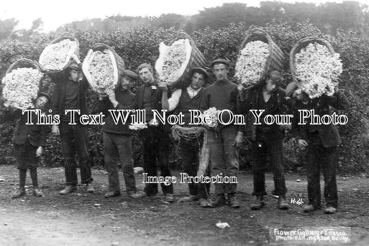CO 2189 - Flower Gatherers, Tresco, Scilly Isles