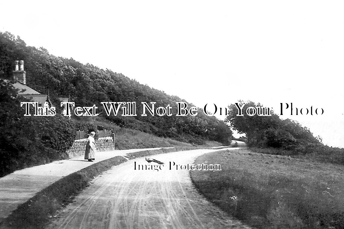 CO 2282 - Castle Drive, Falmouth, Cornwall c1912