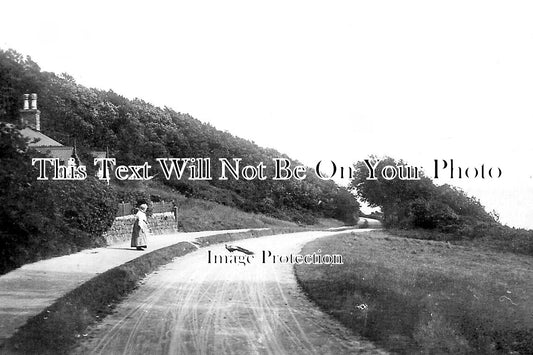 CO 2282 - Castle Drive, Falmouth, Cornwall c1912