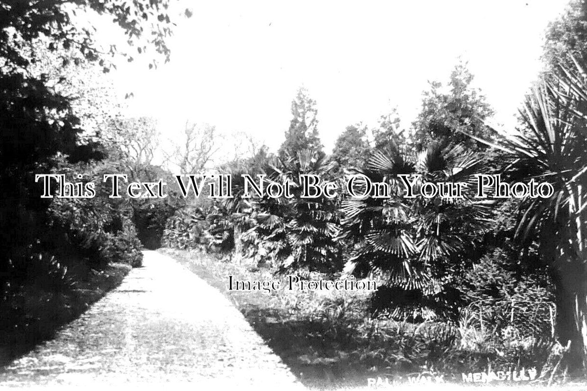 CO 2335 - Palm Walk, Menabilly, Cornwall