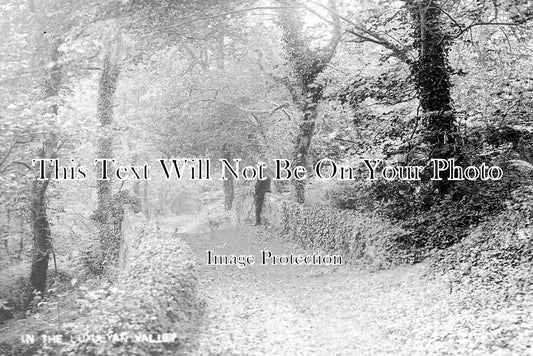 CO 2460 - In The Luxulian Valley, Cornwall c1919