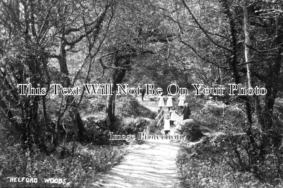 CO 2491 - Helford Woods, Cornwall