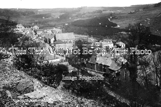 CO 2889 - Gunnislake, Cornwall c1920