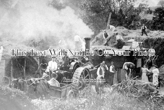 CO 2894 - Farming Scenes At Mawgan, Cornwall