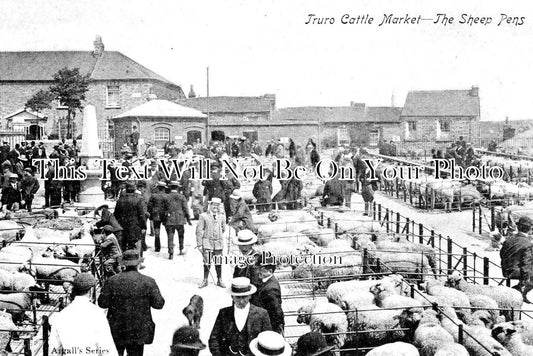 CO 2922 - Truro Cattle Market Sheep Pens, Cornwall