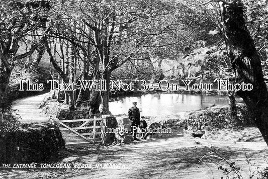 CO 3088 - The Entrance To Illogan Woods, Cornwall c1906