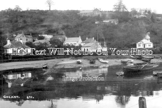 CO 3311 - Golant, Cornwall