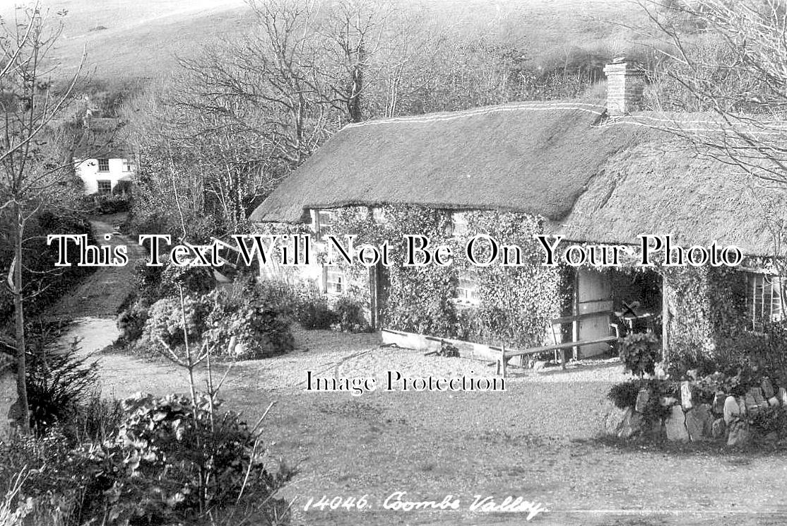 CO 3349 - Coombe Valley Near Bude, Cornwall