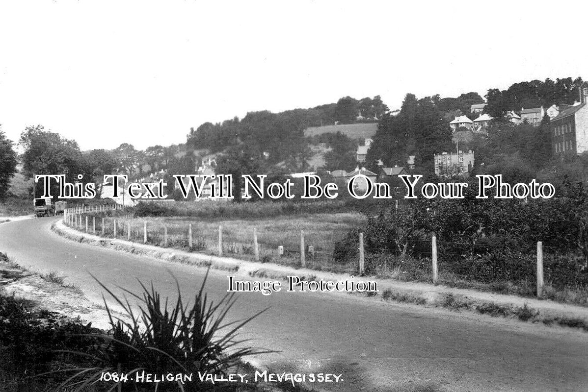 CO 3377 - Heligan Valley, Mevagissey, Cornwall
