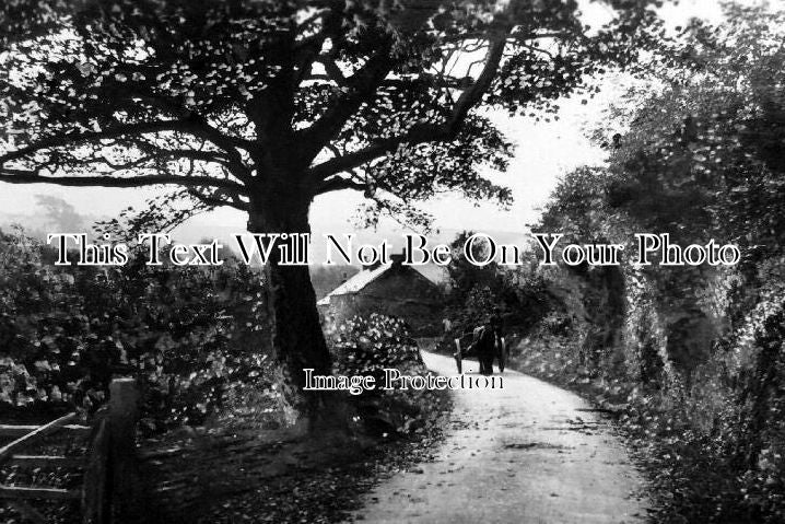 CO 341 - On The Breock Road, Wadebridge, Cornwall c1928