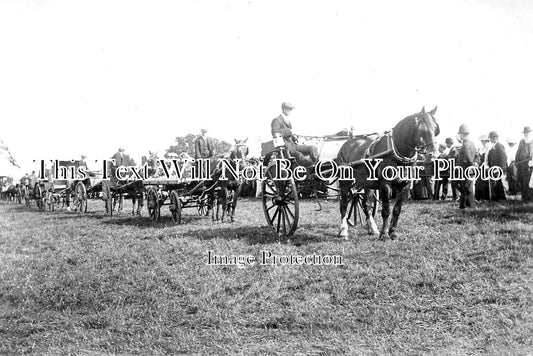 CO 3463 - Empire Day, Longstone Park, Saltash, Cornwall c1907