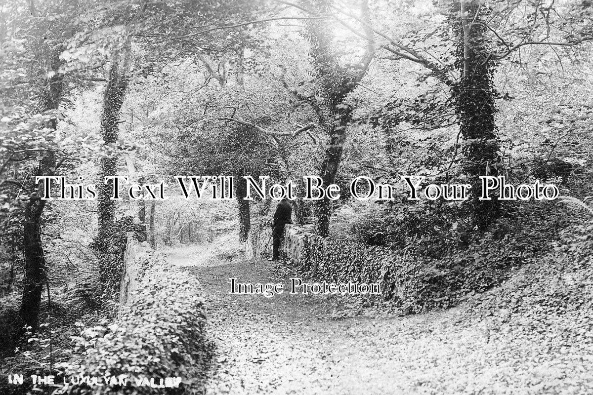 CO 3493 - In The Luxulyan Valley, Cornwall