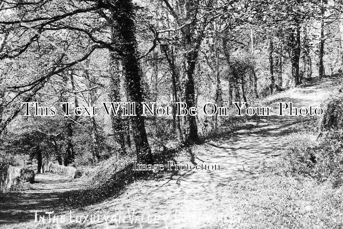 CO 3503 - In The Luxulyan Valley, Cornwall