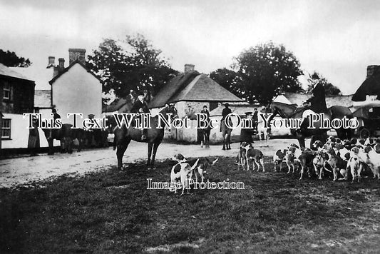CO 382 - Tetcott Hounds, Week St Mary, Cornwall