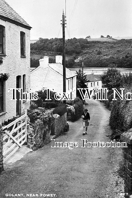 CO 4061 - Golant Near Fowey, Cornwall