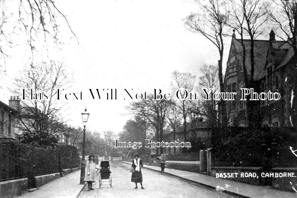 CO 4073 - Basset Road, Camborne, Cornwall c1912