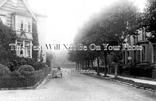 CO 4281 - Trewithen Road, Penzance, Cornwall c1905