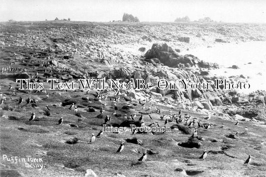CO 511 - Puffin Town, Scilly Isles, Cornwall