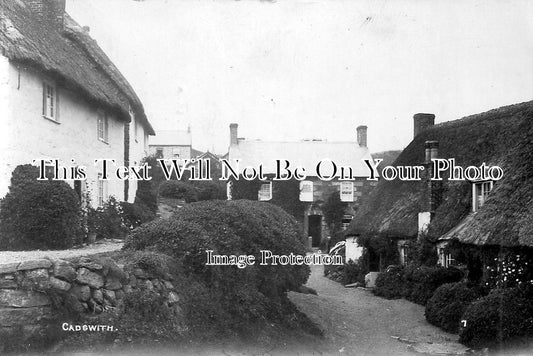 CO 516 - Cadgwith Village, Cornwall
