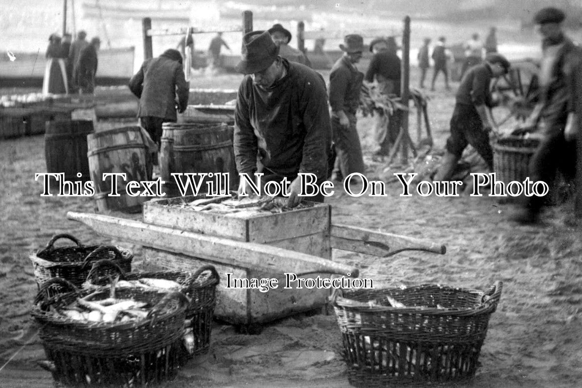CO 584 - St Ives Fisherman Sorting The Catch, Cornwall